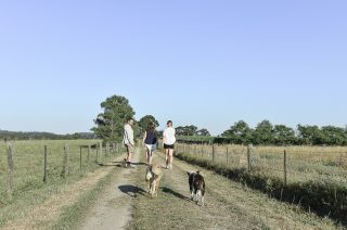 Hike Mt Cannibal Before Your Vineyard Lunch